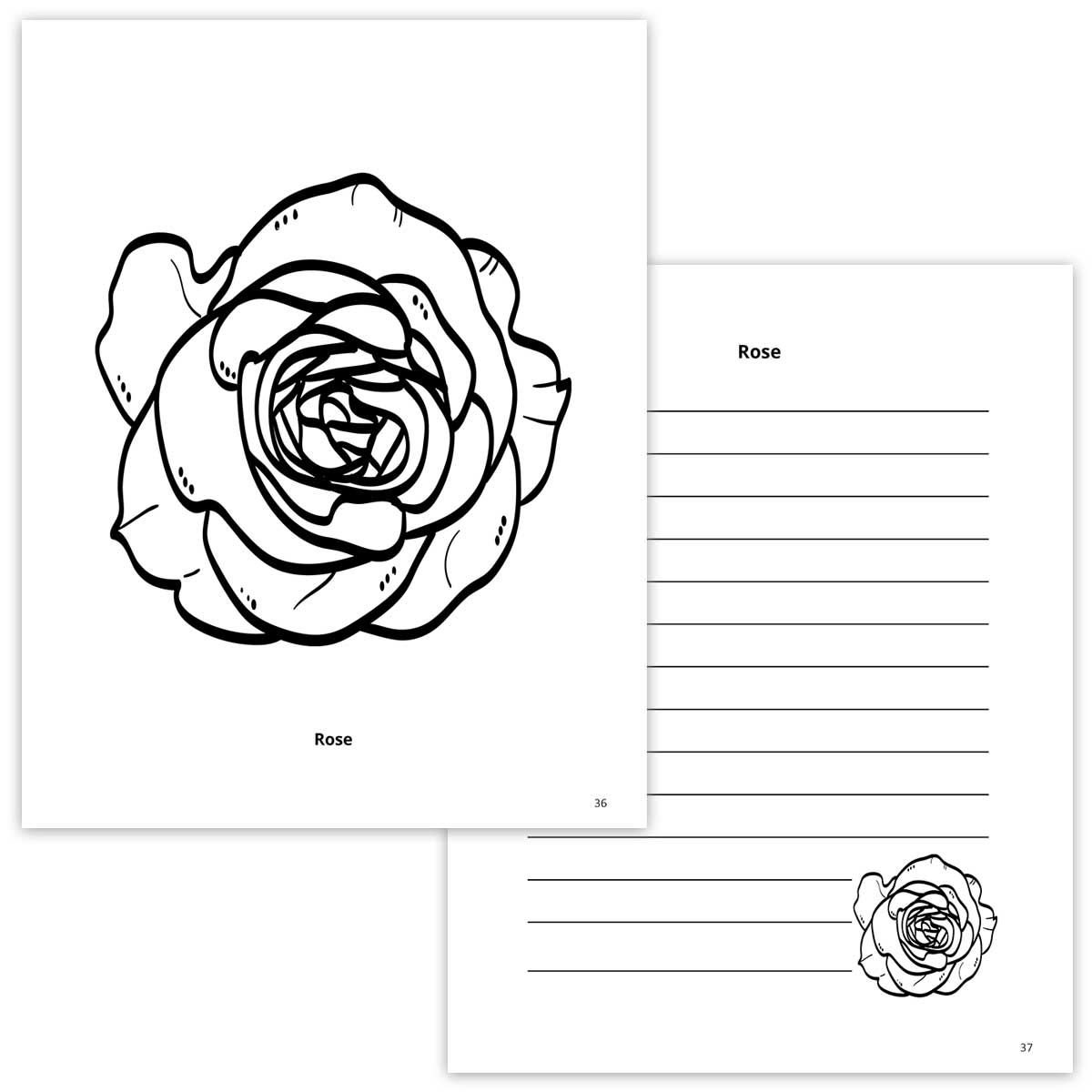 Rose Coloring Page