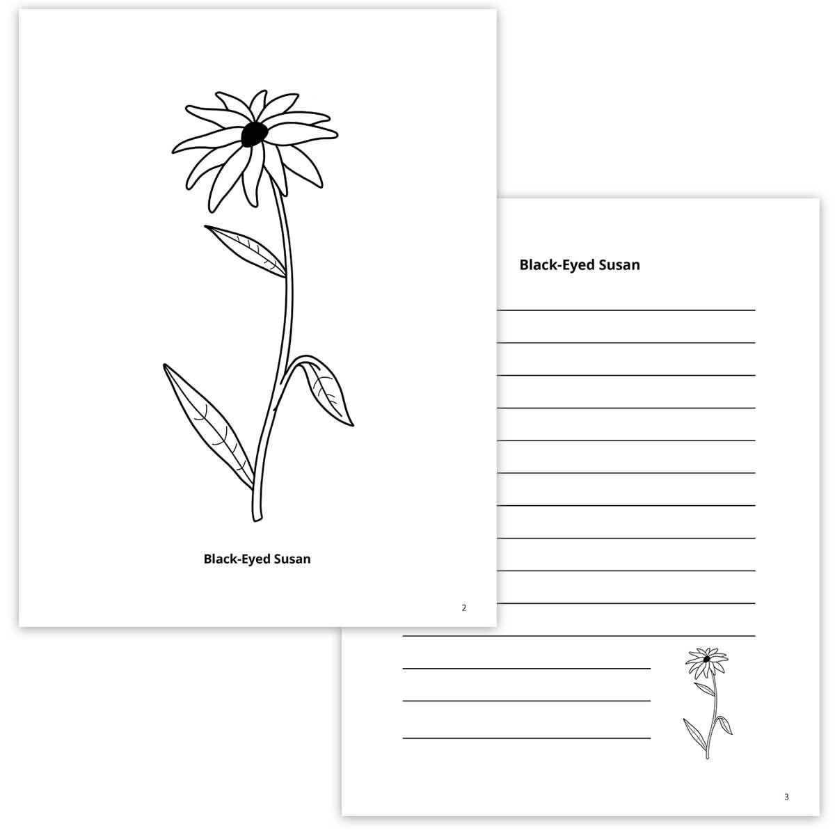 flower coloring pages