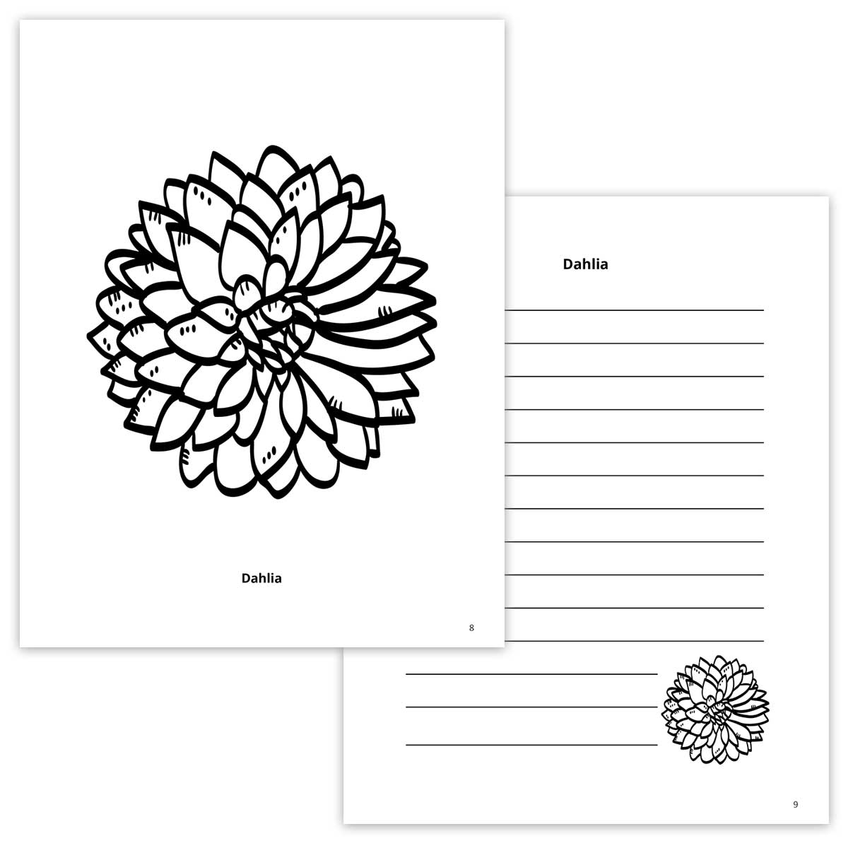 Dahlia Coloring Page