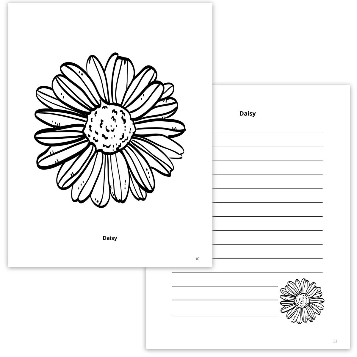 Daisy Coloring Page