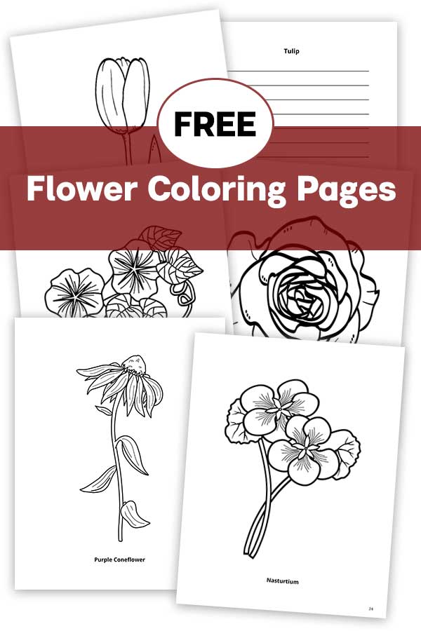 flower coloring pages
