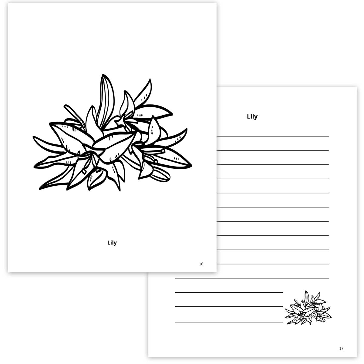 Lily Coloring Page