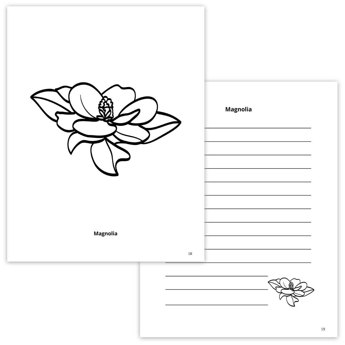 Magnolia Coloring Page