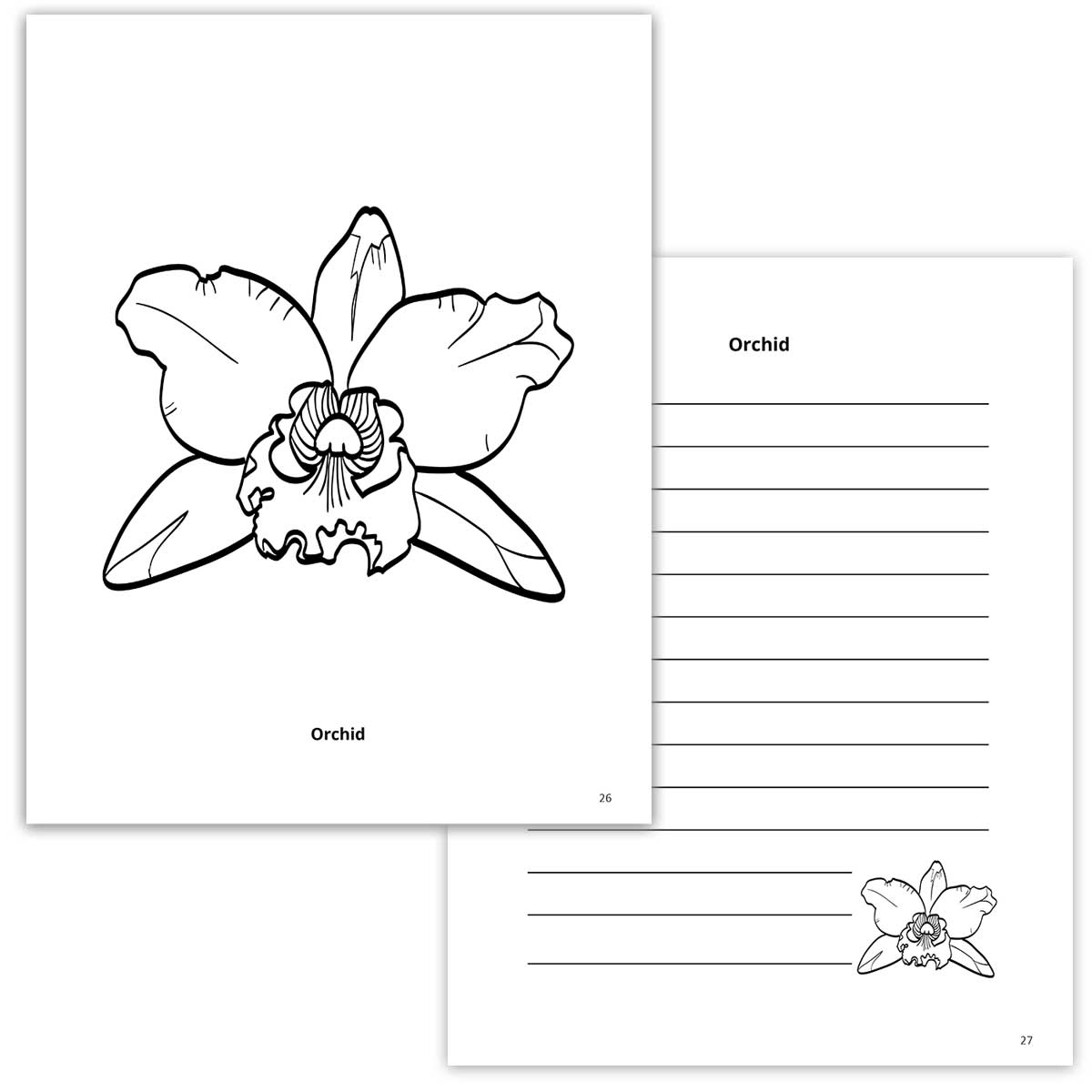 Orchid Coloring Page