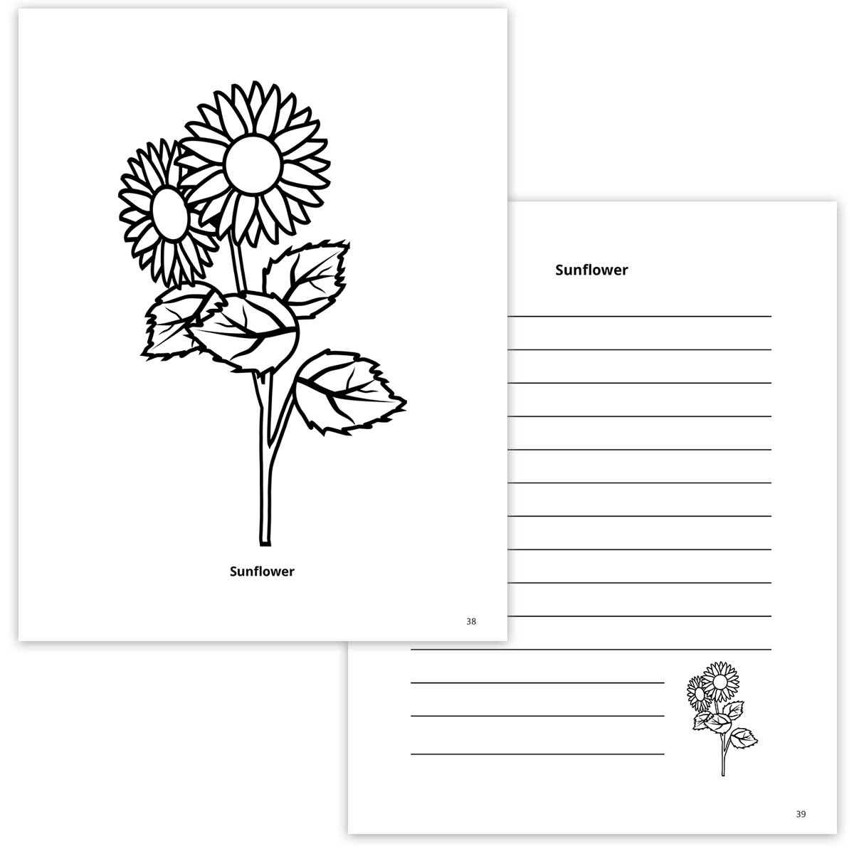 sunflower coloring page