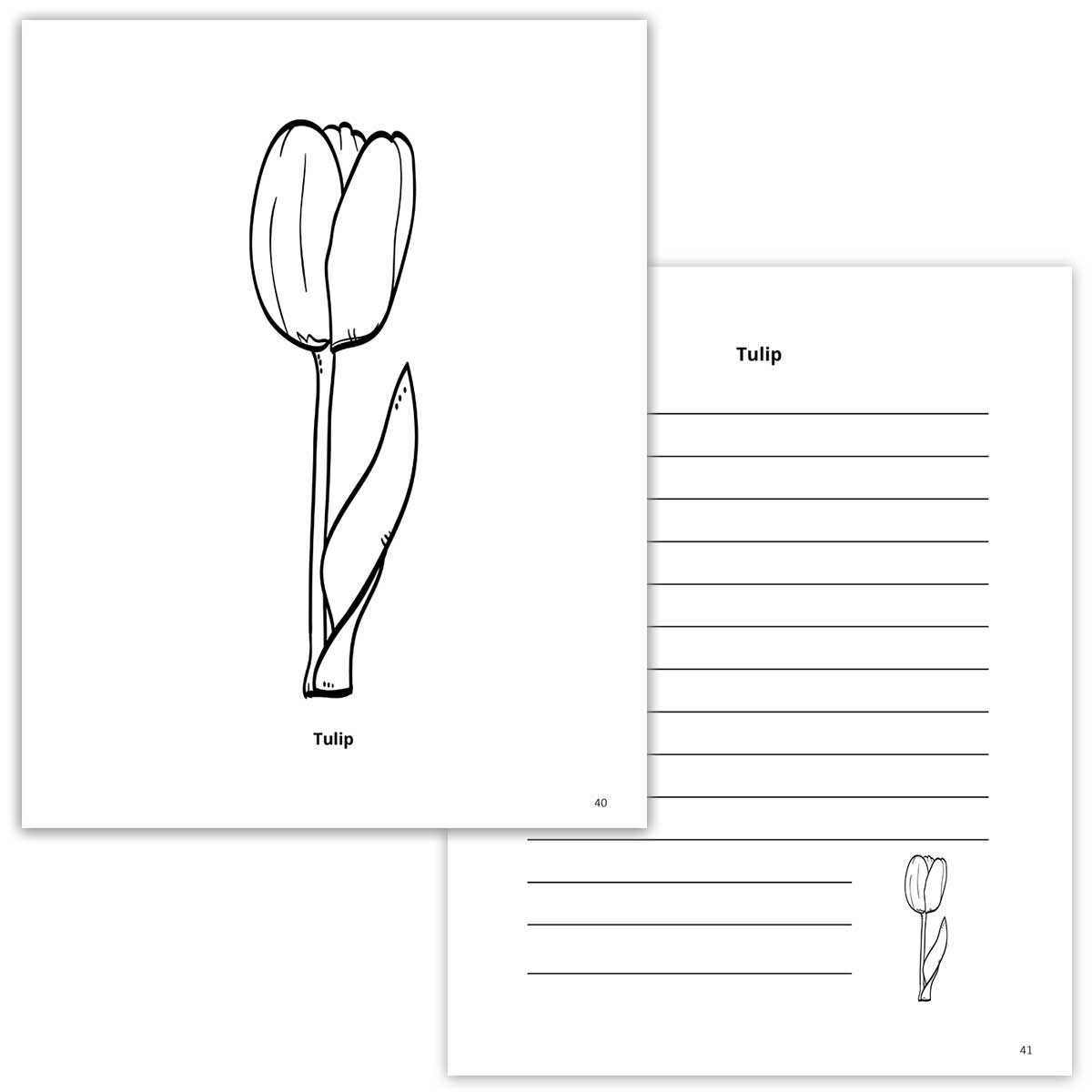 Tulip Coloring Page