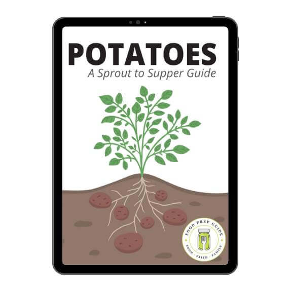 Potatoes: A Sprout-to-Supper Guide