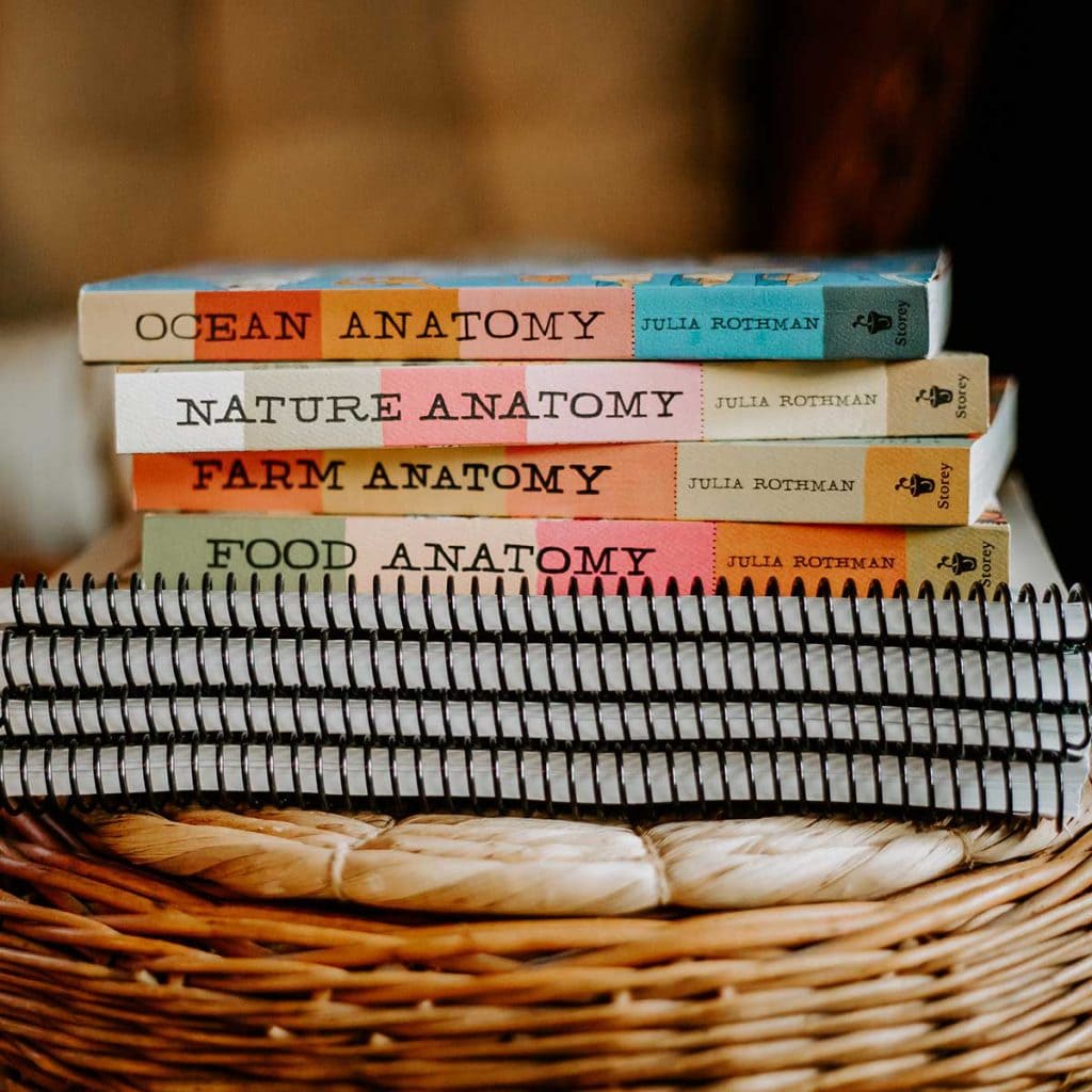 Notebook Companions