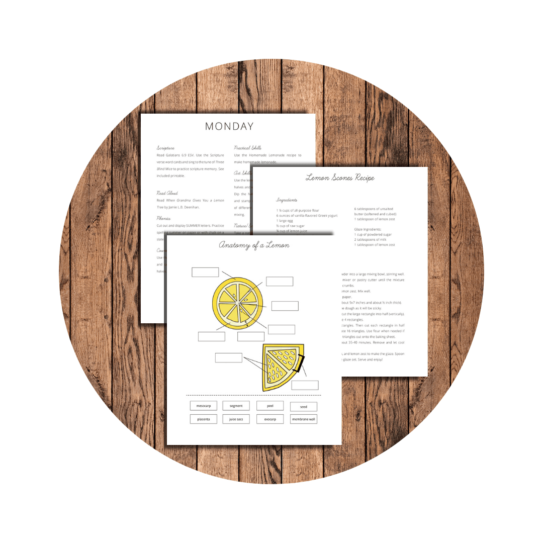Nourishing Nature Kindergarten Summer