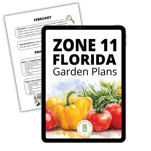 Zone 11 Florida Garden Plans
