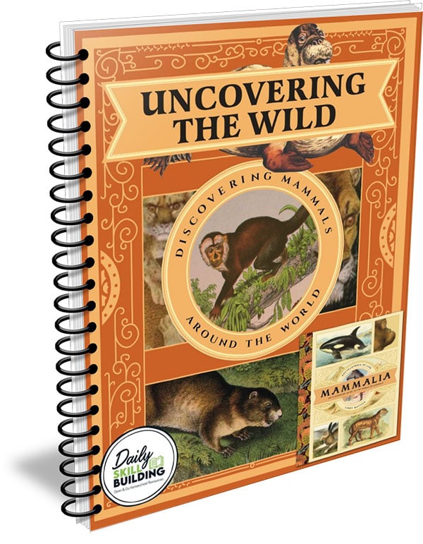 Uncovering The Wild