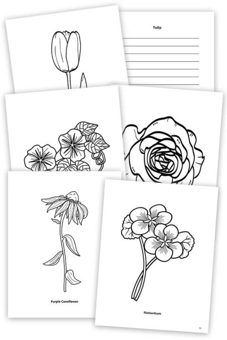 flower coloring pages